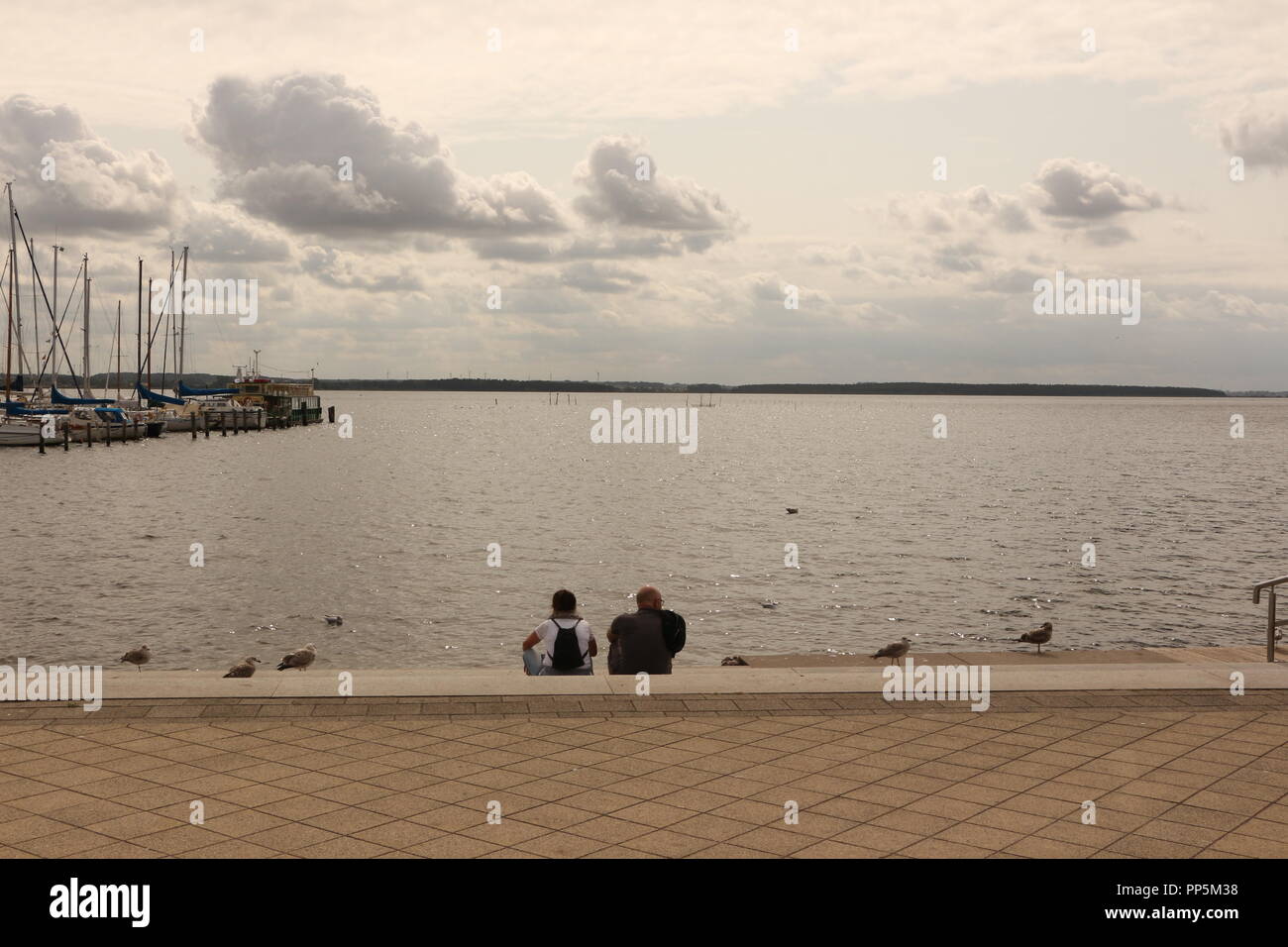 Blick auf die Salzhaff bei Rerik an der Ostsee Stock Photo