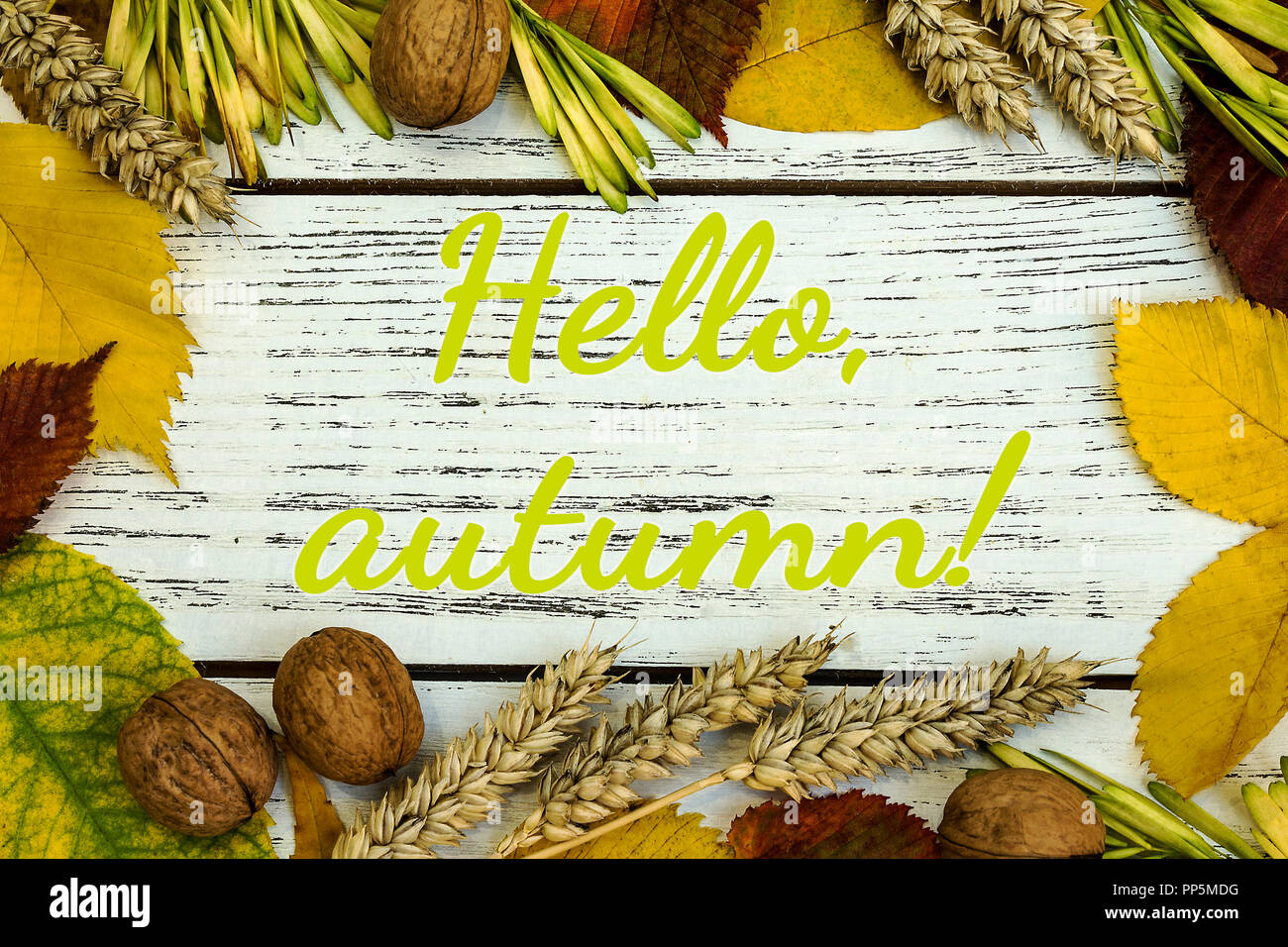 Fall harvest close up colorful frame or banner. Thanksgiving or autumn background with text or lettering. Hello autumn Stock Photo