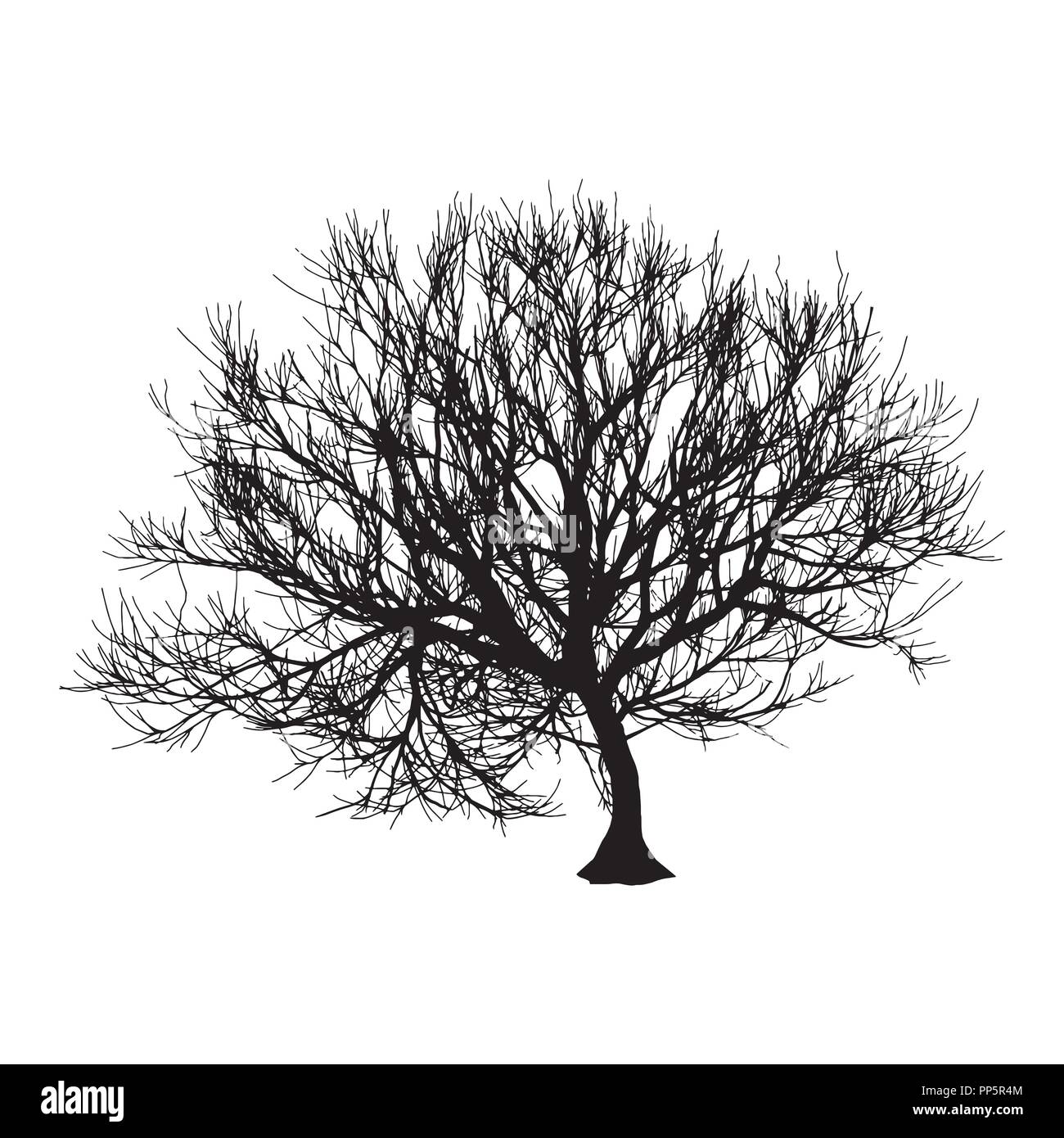 Black dry tree winter or autumn silhouette on white background. Vector ...