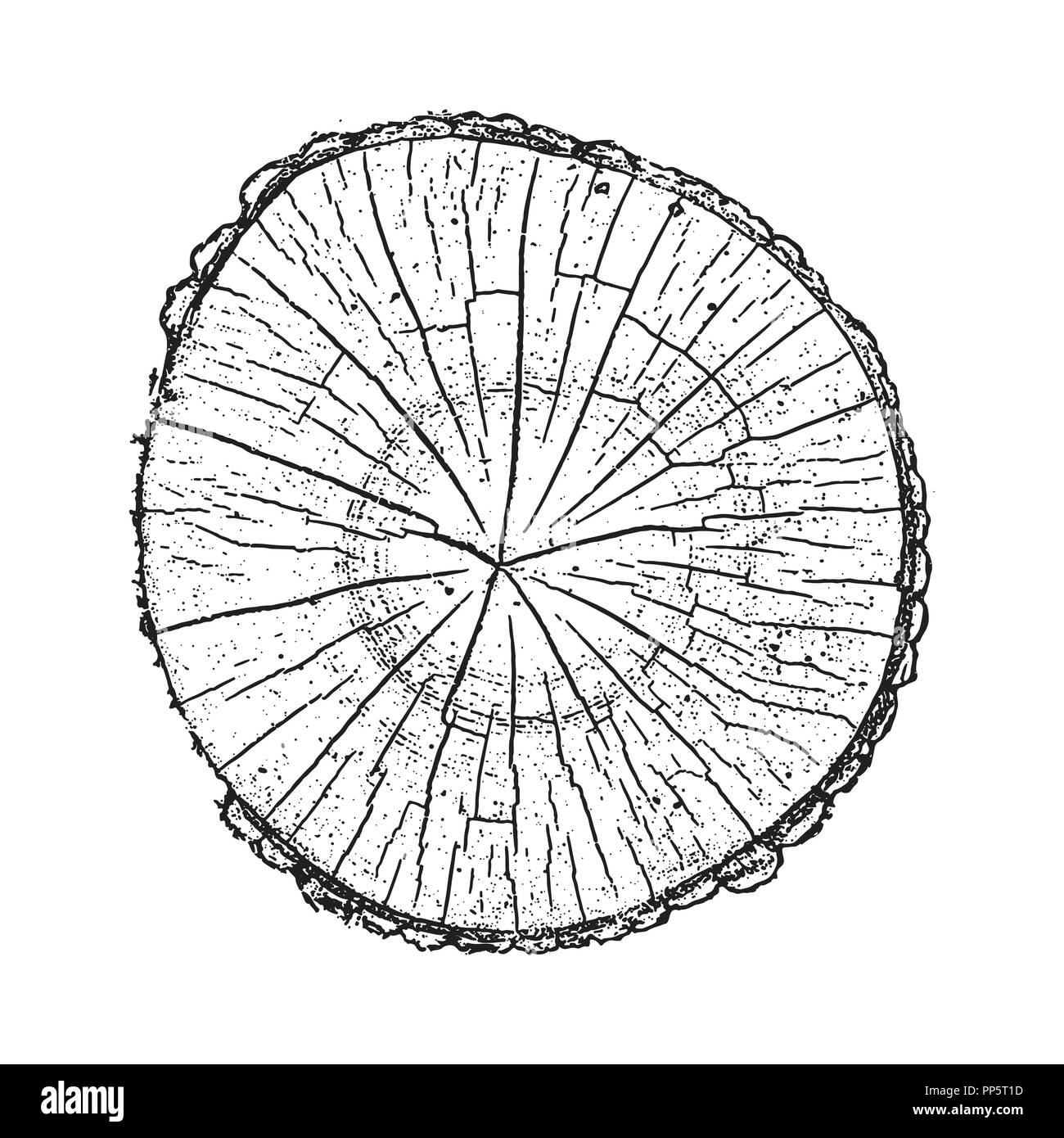 Tree log, wood growth rings grunge texture vector illustration Stock