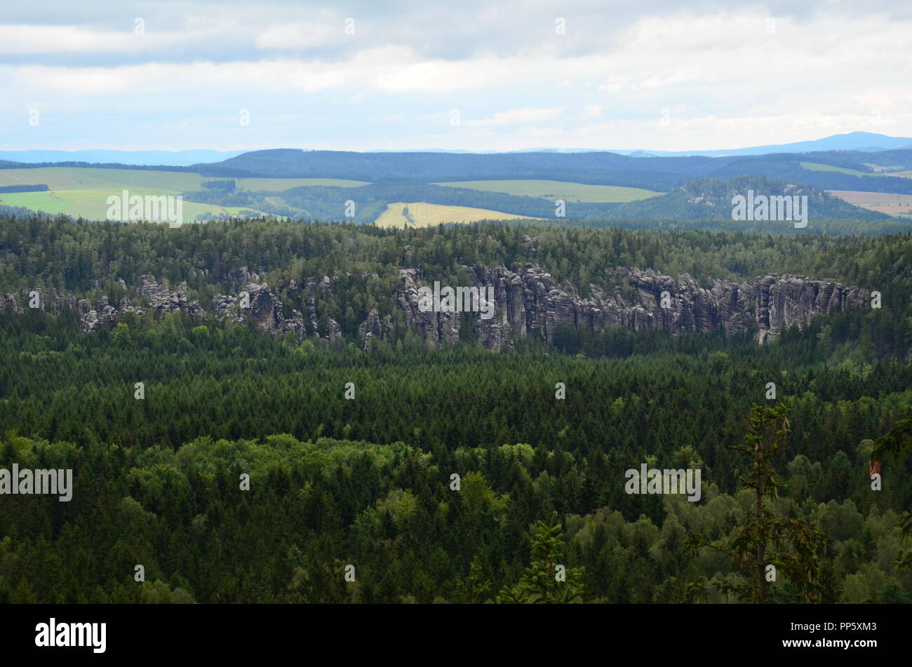 View on a rock wall in the middle of the forest and a tree with hanging cones. Croplands in the background. Stock Photo
