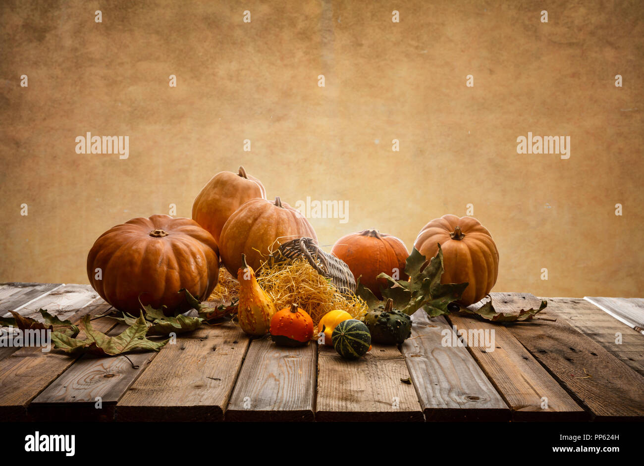 Thanksgiving concept. Colorful pumpkins and fall leaves on rustic ...