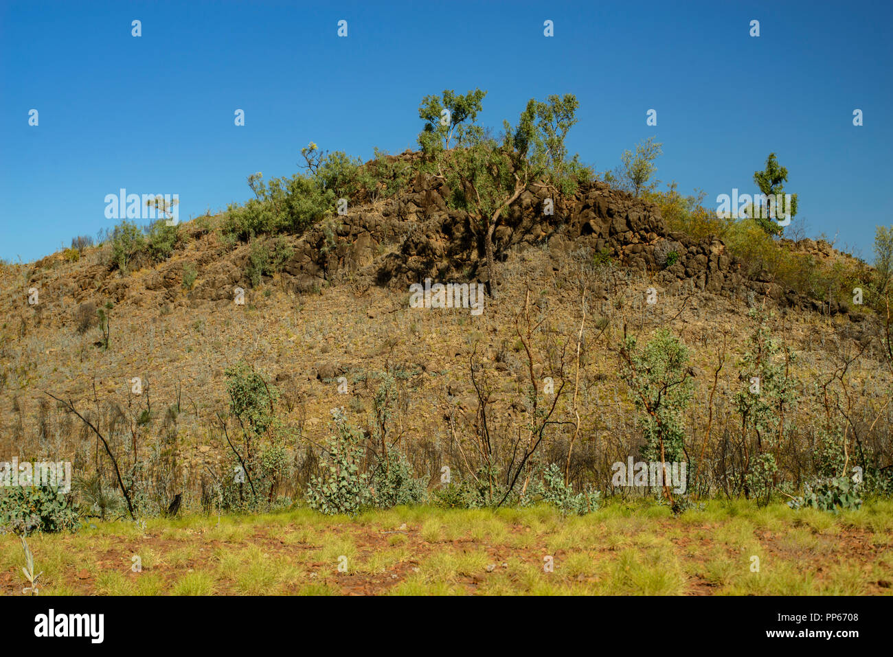 Bushland in the Australian Outback, Australia Stock Photo Alamy