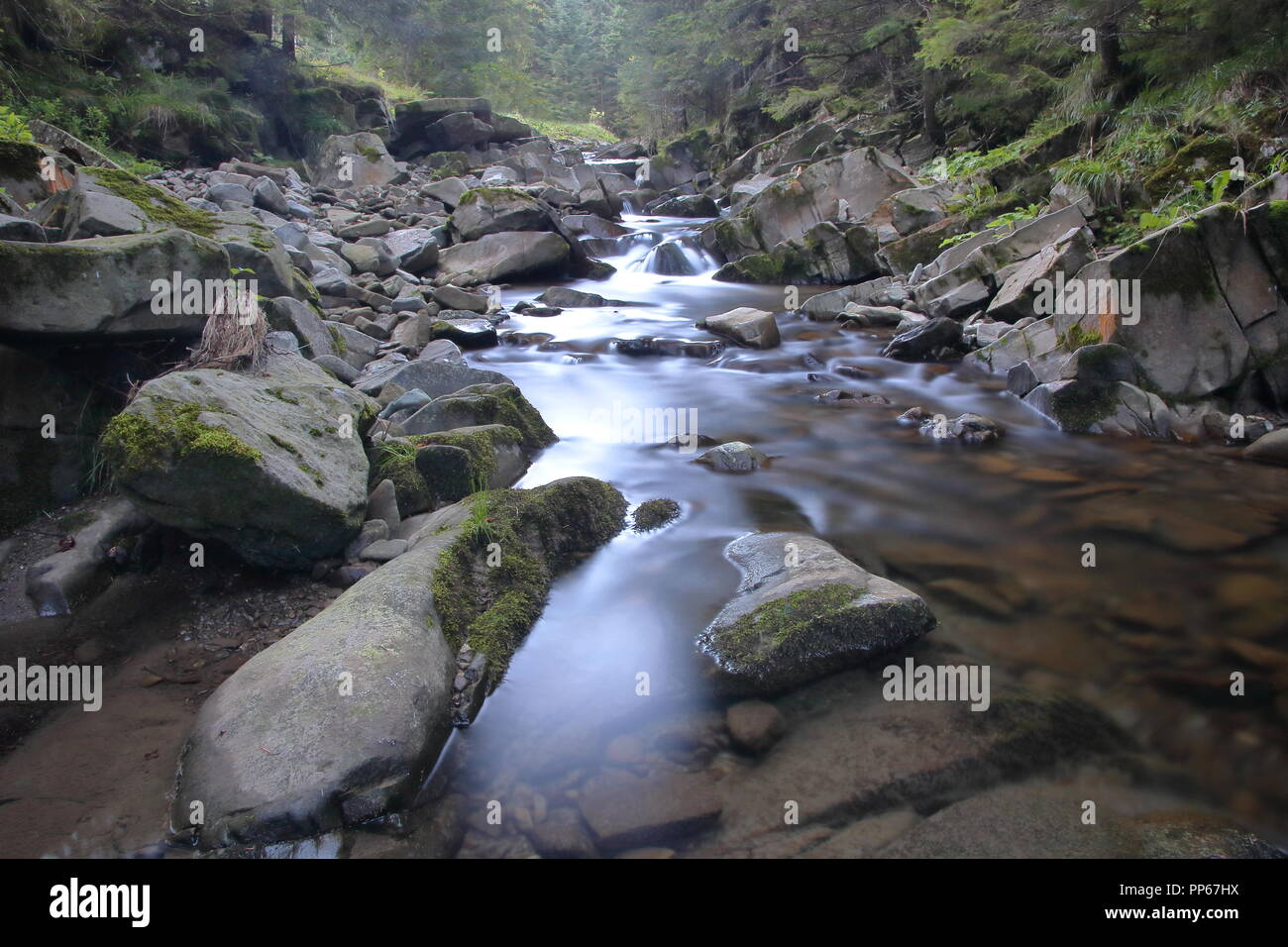 Mountain river with big rokcs and stones on its riverbed, greenery on both river banks, into forest, long time exposure. Stock Photo