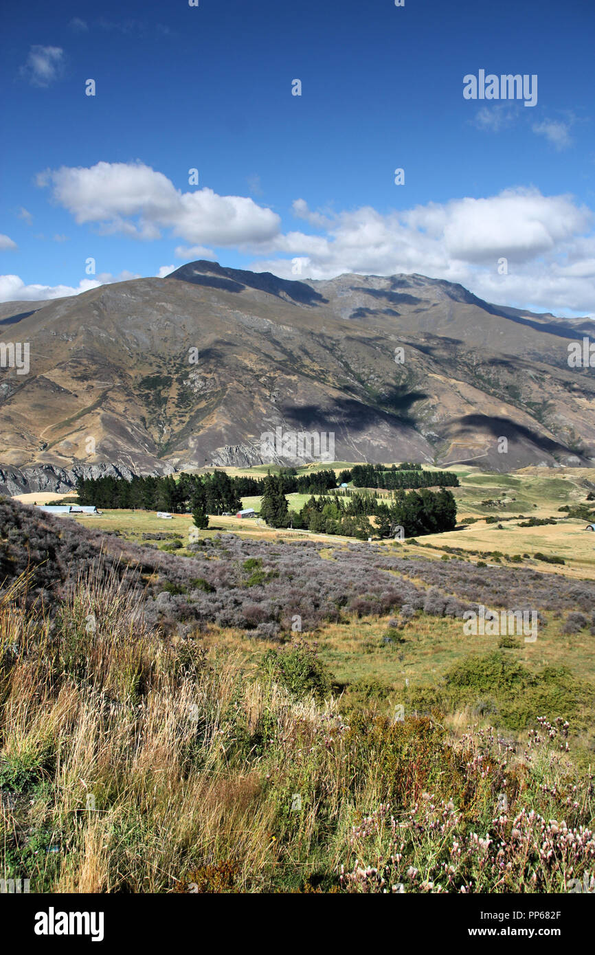 New Zealand - mountain landscape in the region of Otago. Stock Photo