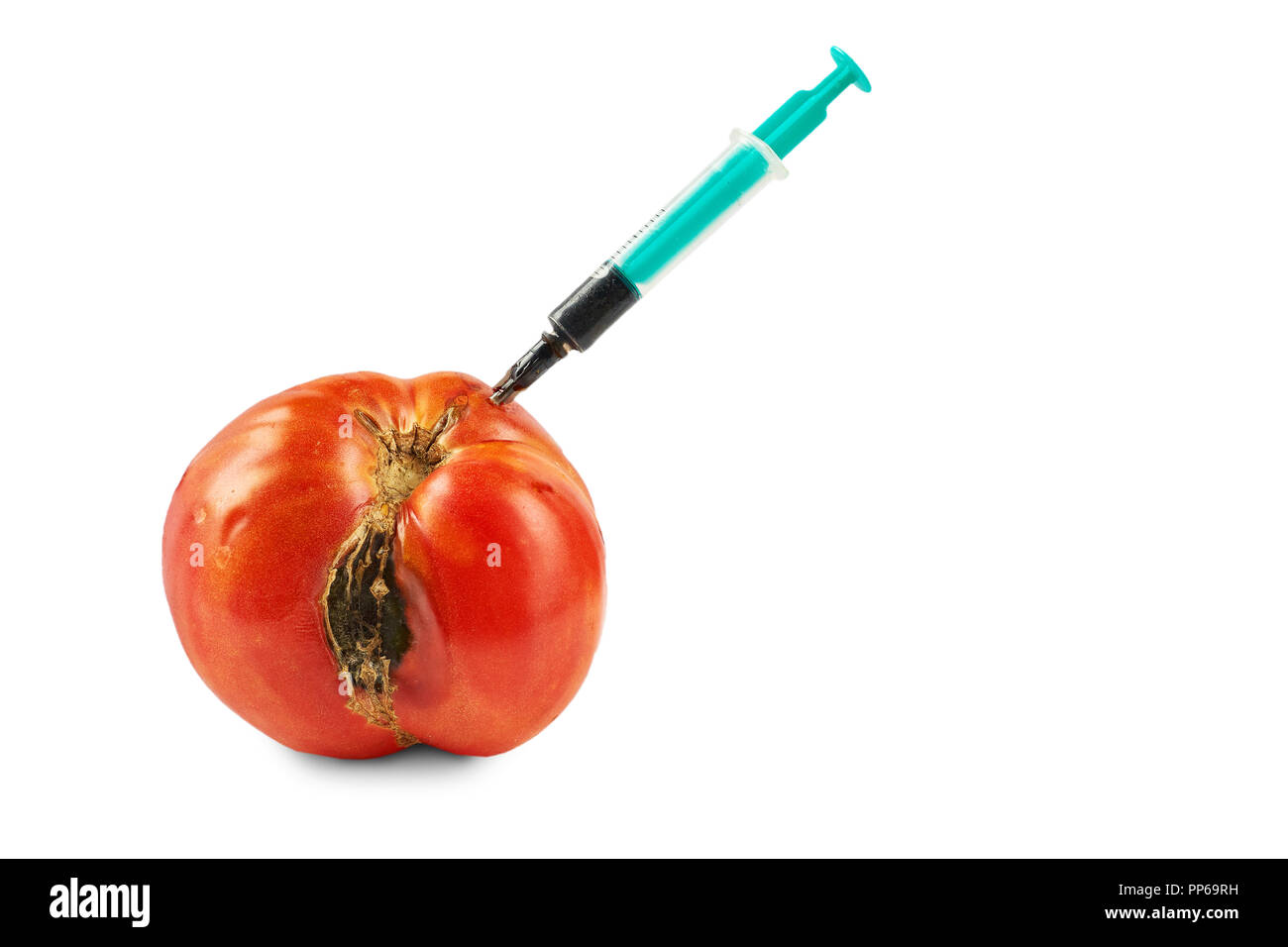 Spoiled, rotten tomato with stuck syringe isolated on white background. Stock Photo