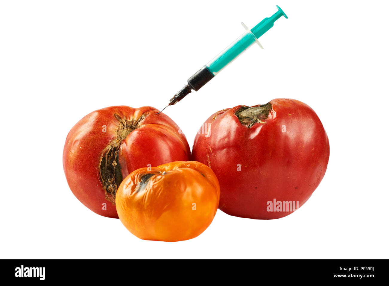 Spoiled, rotten three tomatoes with stuck syringe isolated on white background. Stock Photo