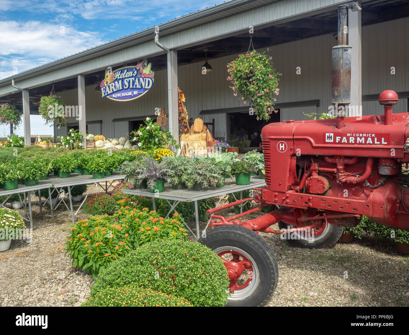 Long Island North Fork Farm High Resolution Stock Photography and
