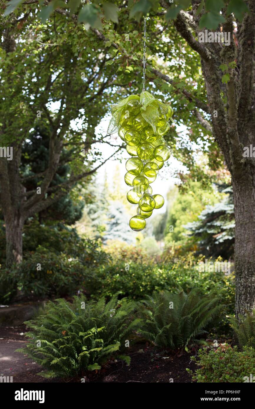 blown glass grapes by artist randall perkins hang from a tree at the oregon garden in silverton oregon usa - The Oregon Garden blown glass grapes by artist randall perkins hang from a tree at the oregon garden in silverton oregon usa - The Oregon Garden