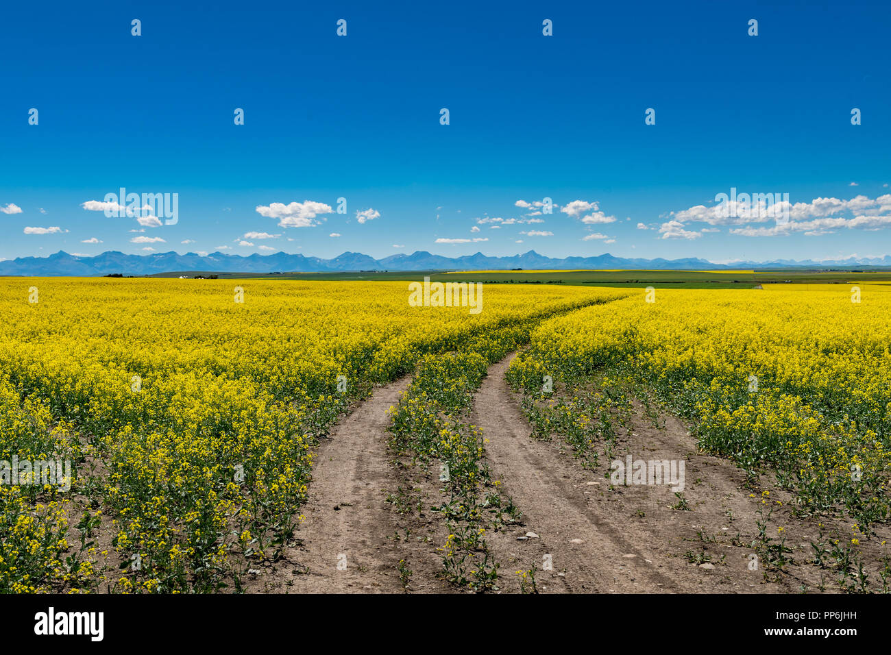 Beautiful scenery of farmland in the foothills of Alberta Canada, with