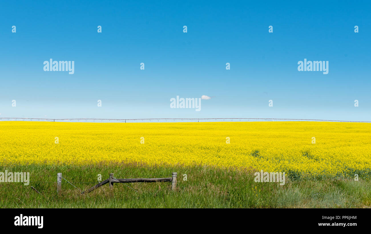 Beautiful scenery of farmland in the foothills of Alberta Canada, with