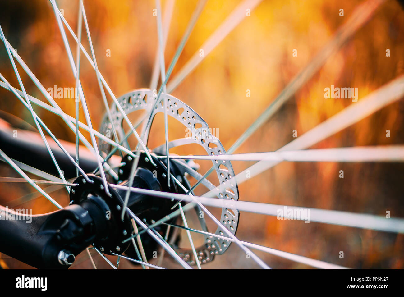 Close Up Bicycle Wheel. Spokes Details. Close Up Stock Photo Alamy