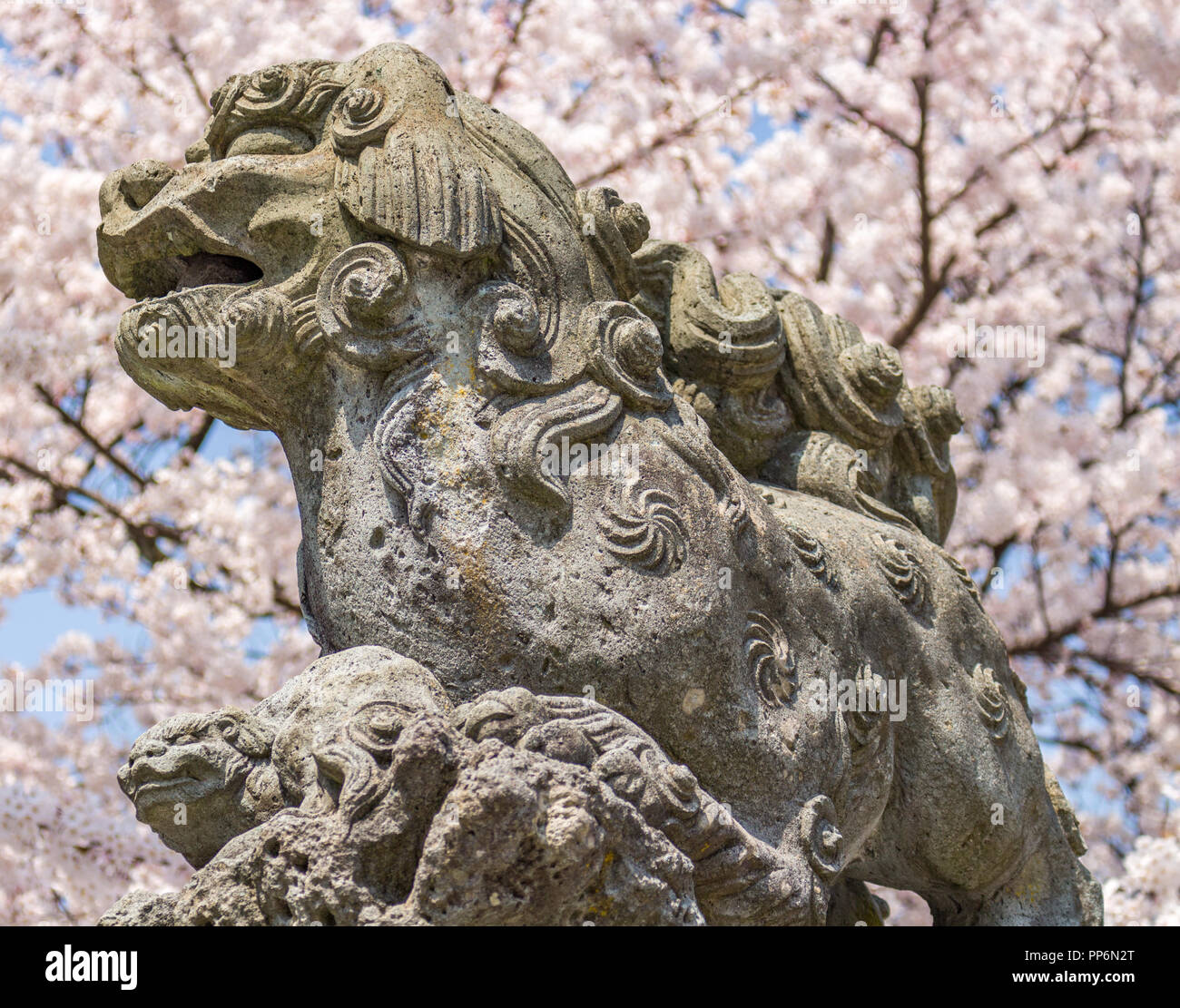 Liondog, or komainu, at a Shinto shrine in Kanazawa, Japan. These