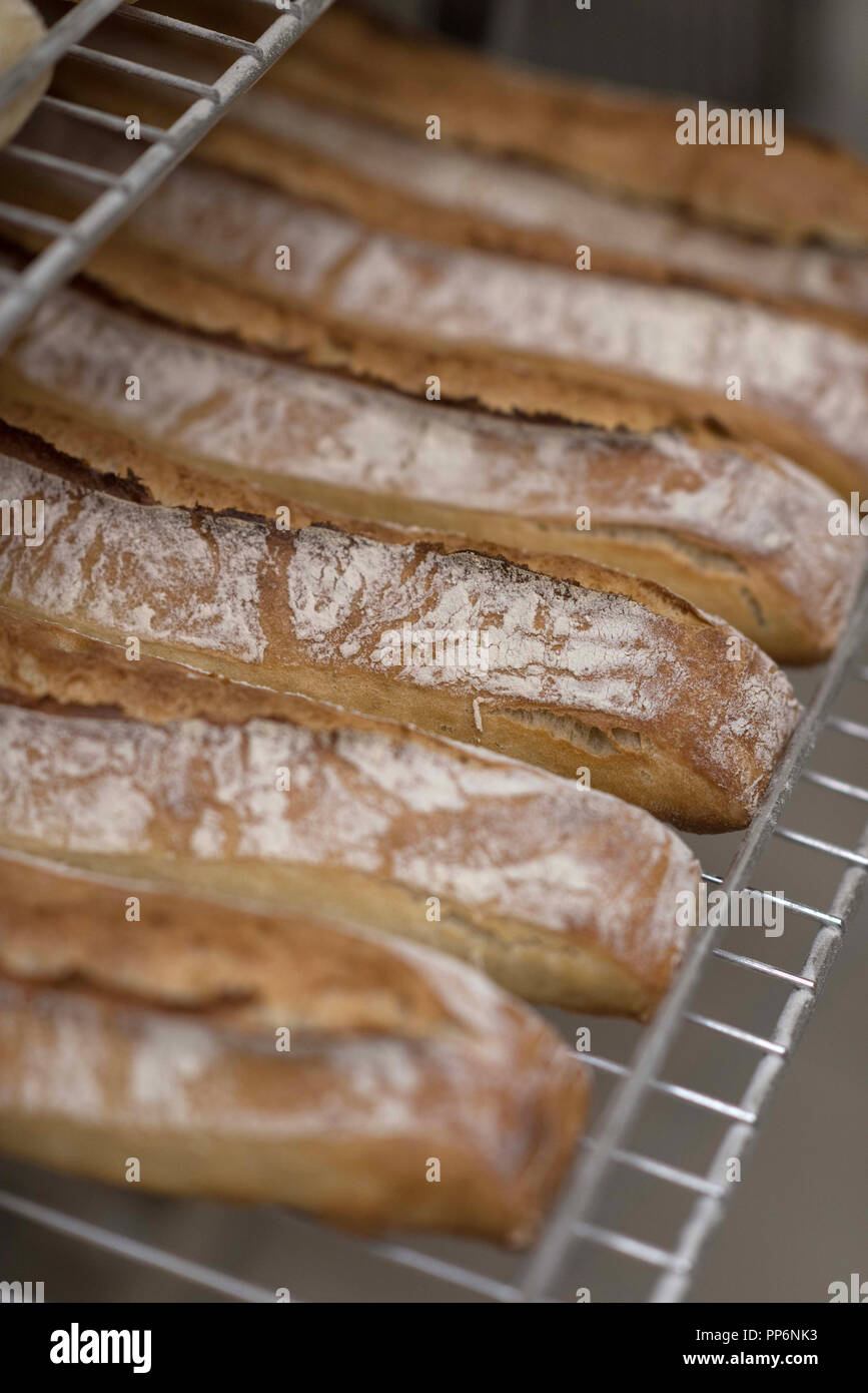 Bakery baguettes (French sticks Stock Photo Alamy