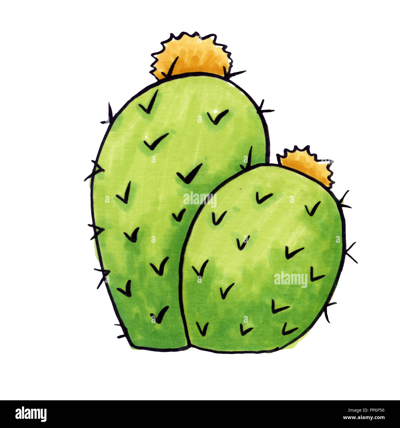 Mexican Cactus with Spines or Thorns and Flowers as Isolated Clipart for Cinco De Mayo Holiday or Celebration. Edible Raster Esculent Cacti Like Sagua Stock Photo