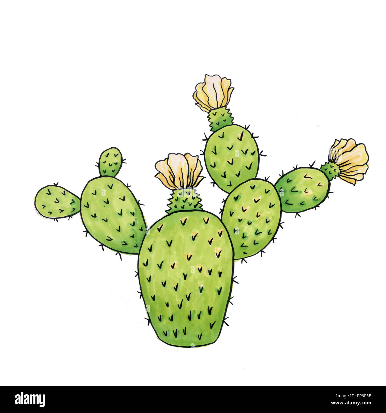 Mexican Cactus with Spines or Thorns and Flowers as Isolated Clipart for Cinco De Mayo Holiday or Celebration. Edible Raster Esculent Cacti Like Sagua Stock Photo
