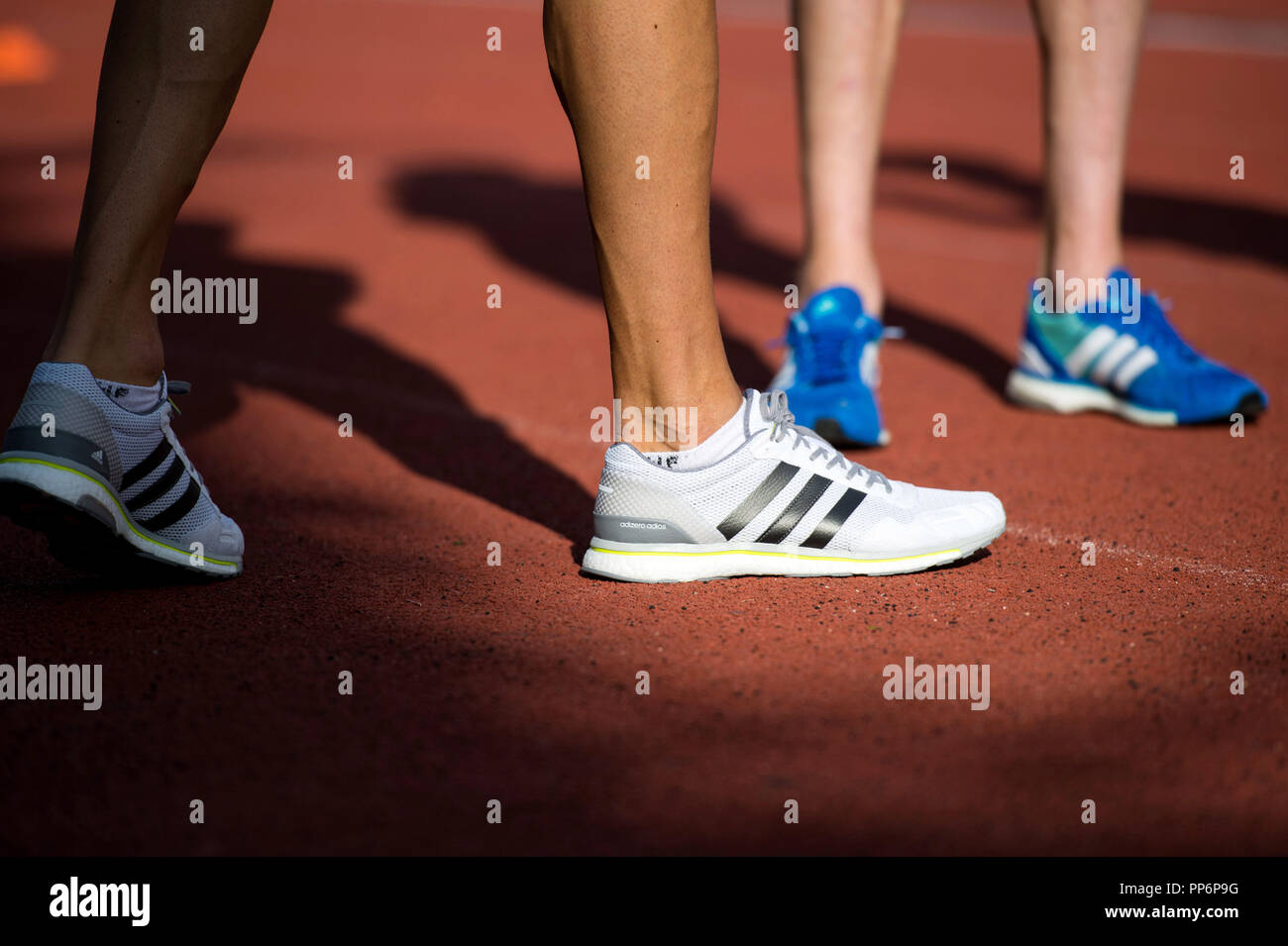 Running: Adidas running shoes on a running track during a training Stock  Photo - Alamy