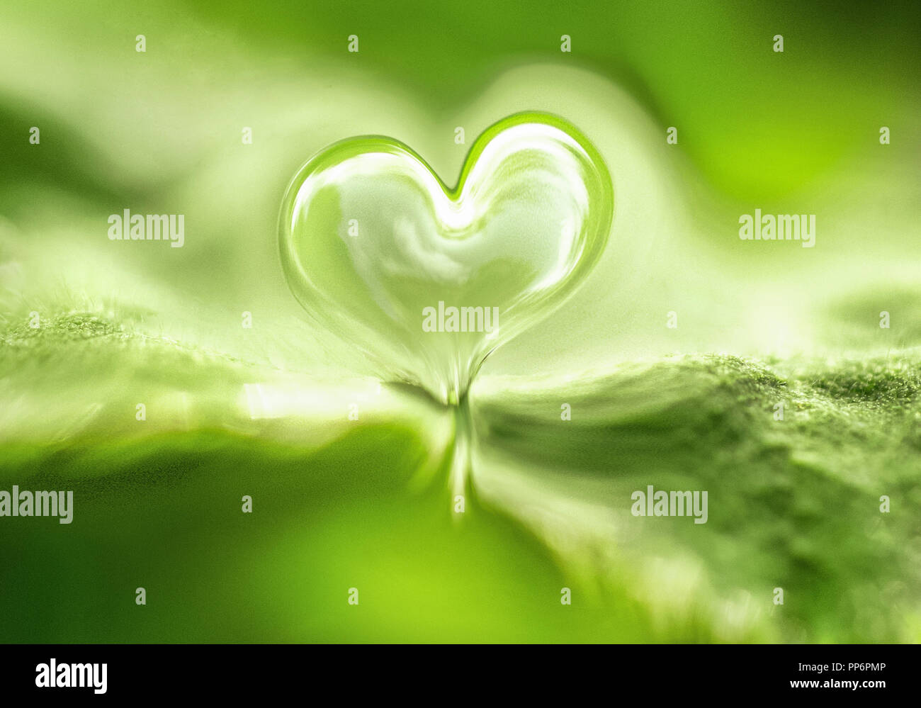 abstract green love heart background Stock Photo Alamy