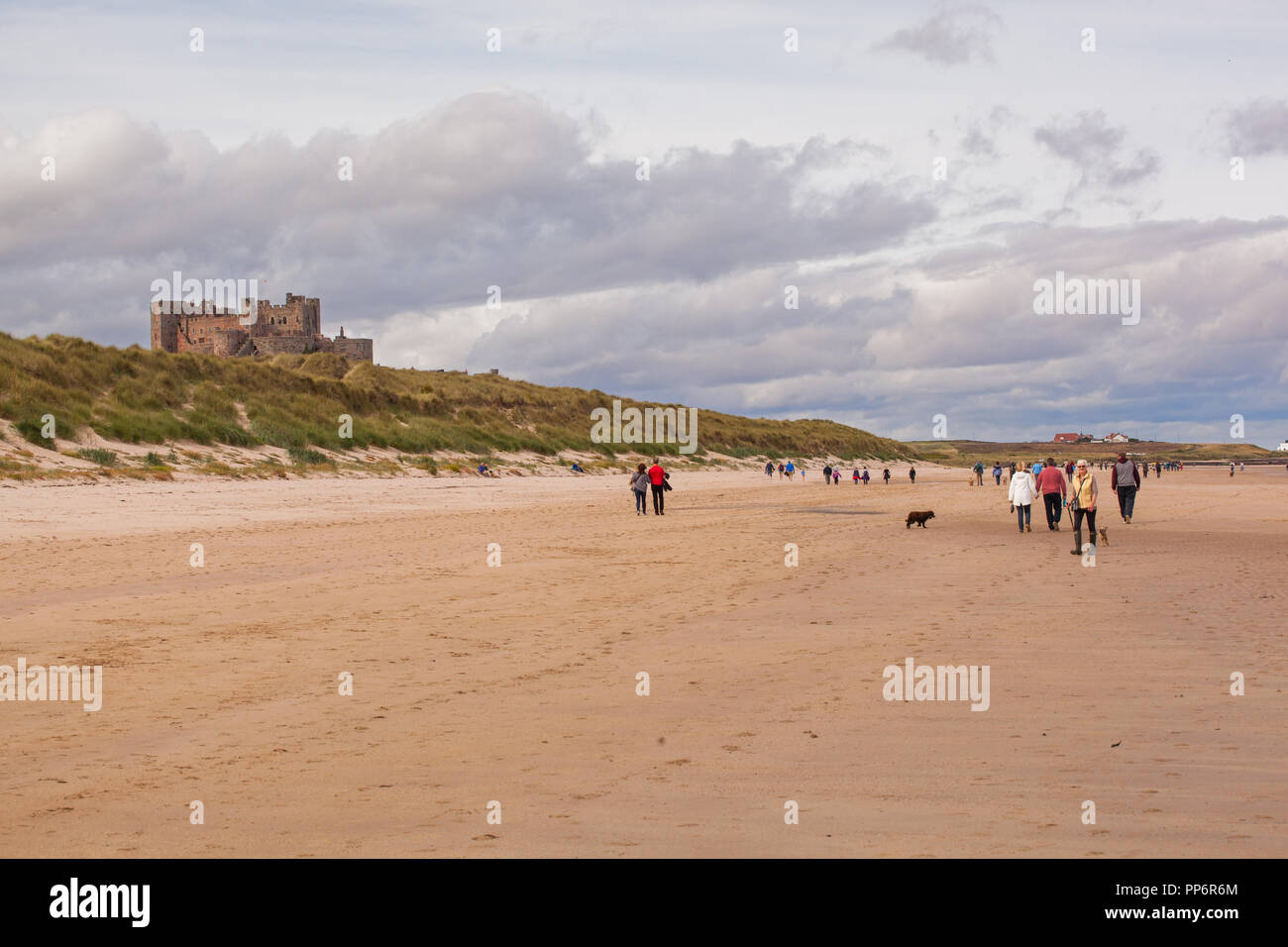 Men and women walking along the beach at Bamburgh  Northumberland England UK with Bamburgh castle in the back ground Stock Photo