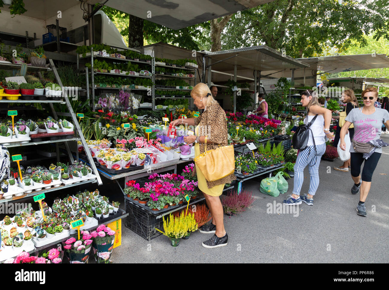 A woman buying flowers in Siena market, Siena, Tuscany Italy Europe Stock Photo