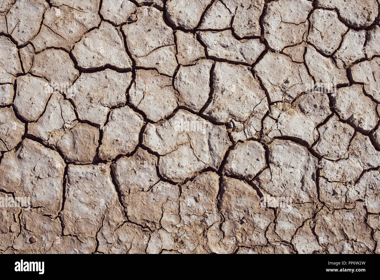 Textured background of cracked dry brown earth Stock Photo