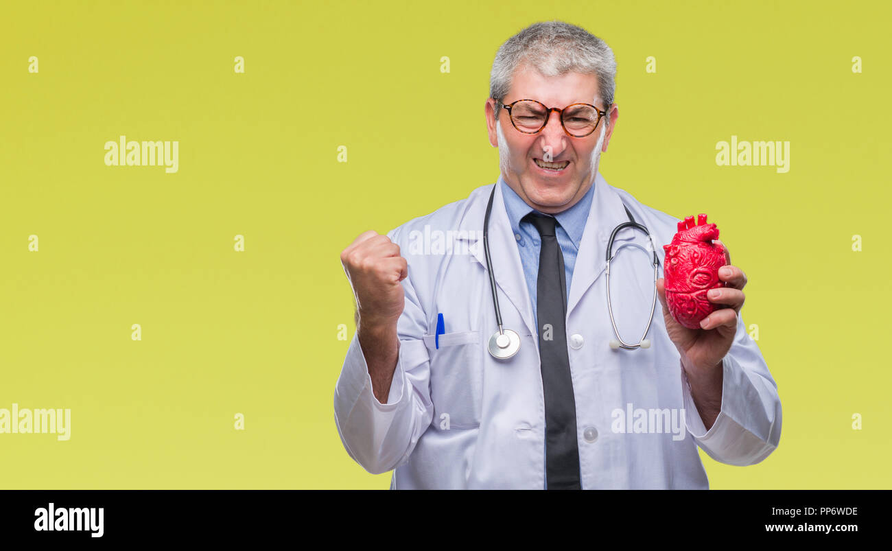 Handsome senior cardiologist doctor man holding heart over isolated ...