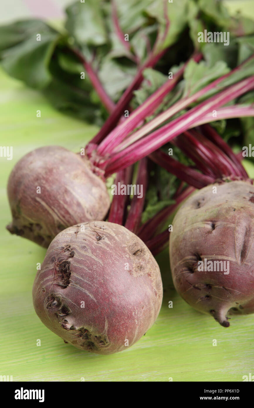 New beetroot with tops on the rustic table Stock Photo - Alamy