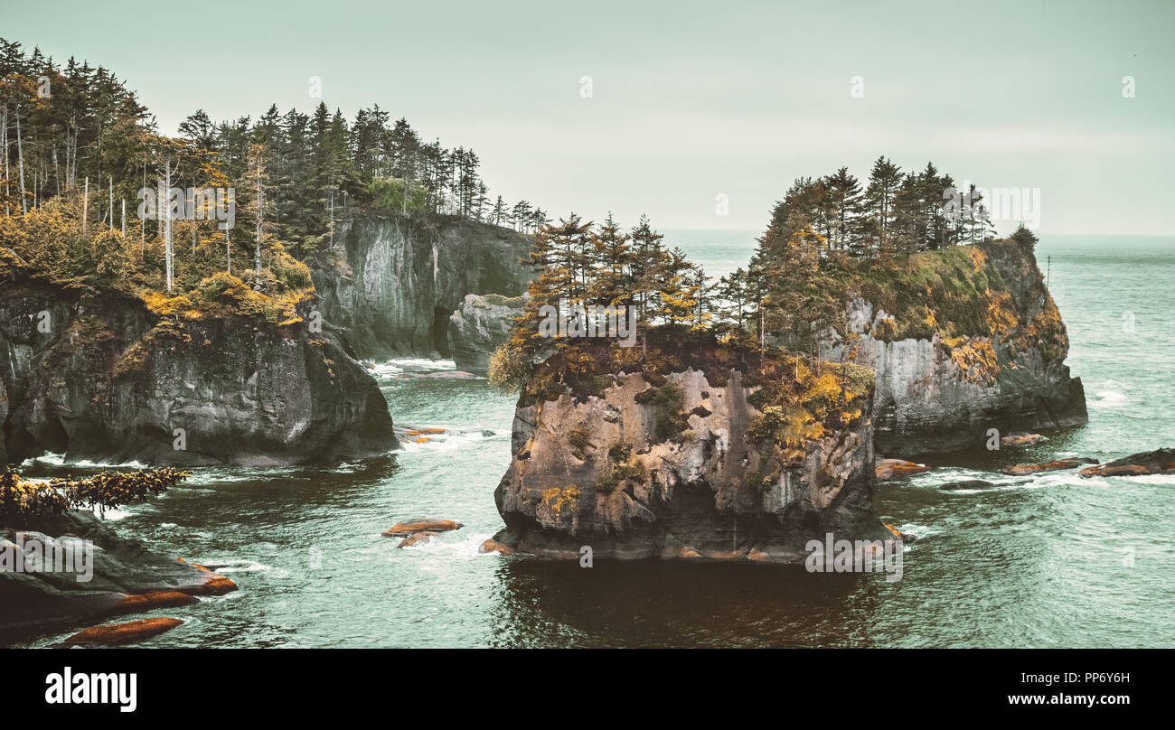 Cape Flattery sea stacks on a rainy day, Makah reservation, Neah Bay, Olympic Peninsula, Washington state Coast, USA. Stock Photo