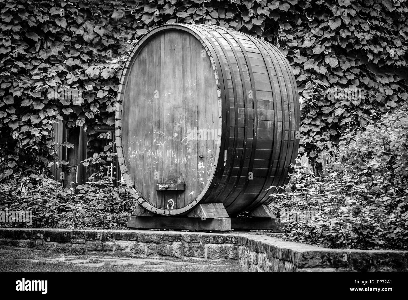 Still in use, a giant vintage oak wine barrel with a functioning spigot in a garden in Strasbourg, France Stock Photo