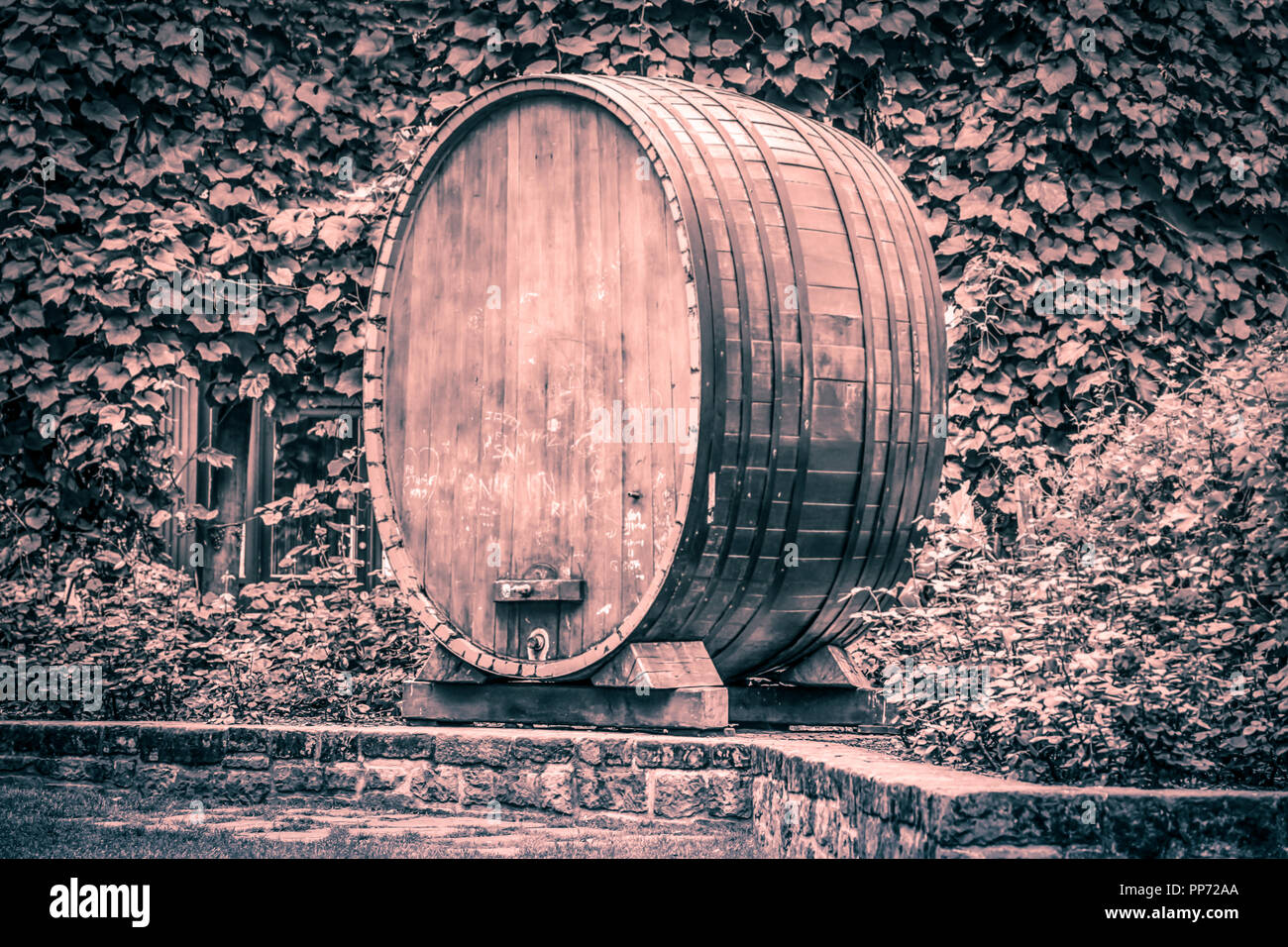 Giant wine barrel hires stock photography and images Alamy