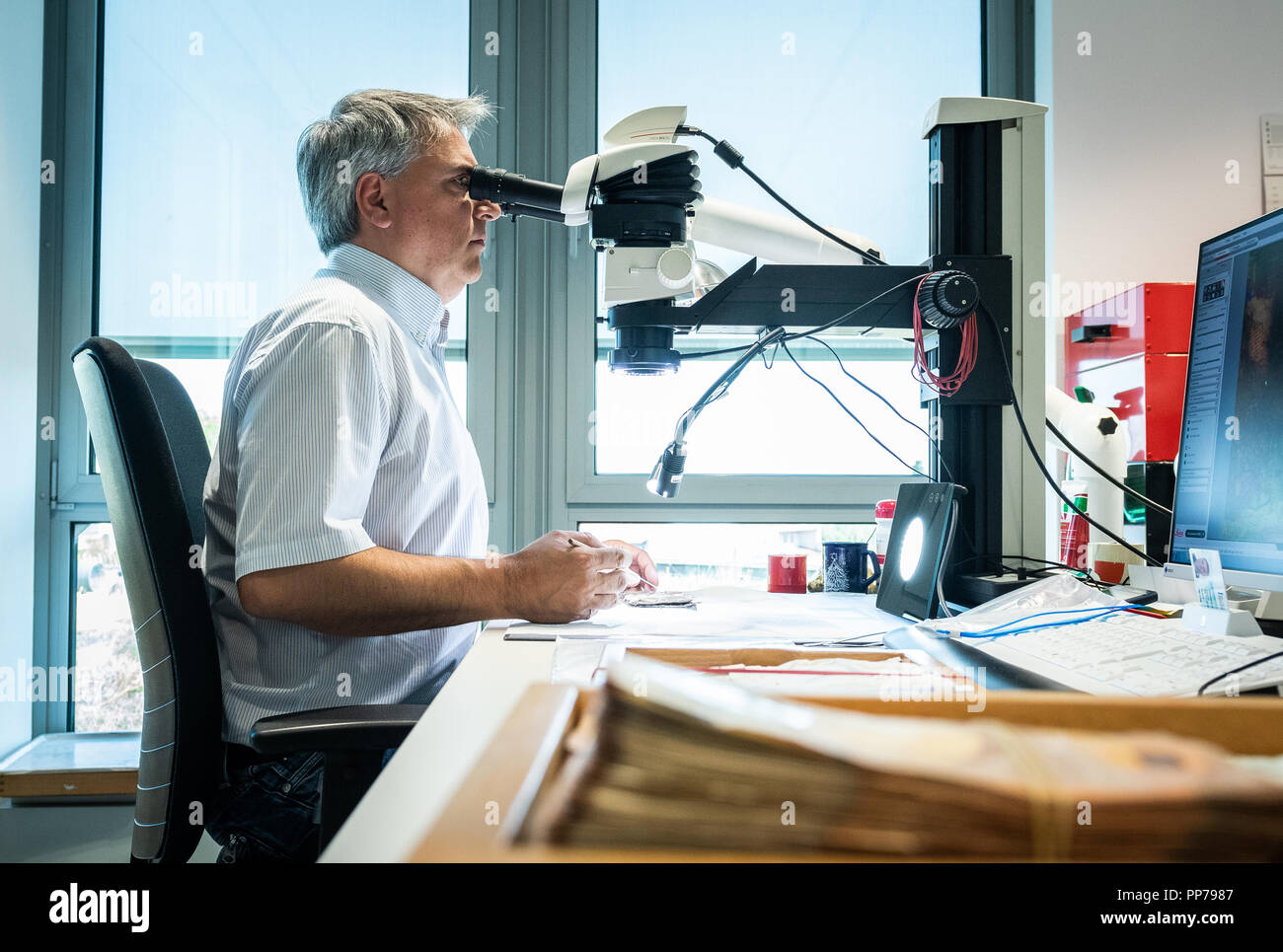 19 September 2018, Rhineland-Palatinate, Mainz: Frank Herzog, expert for damaged cash, examines euro banknotes at the Bundesbank's National Analysis Centre with the aid of a microscope. Photo: Silas Stein/dpa Stock Photo