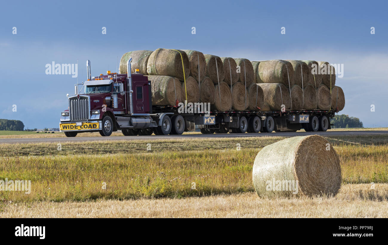 Hay Bale Truck Transport High Resolution Stock Photography and Images