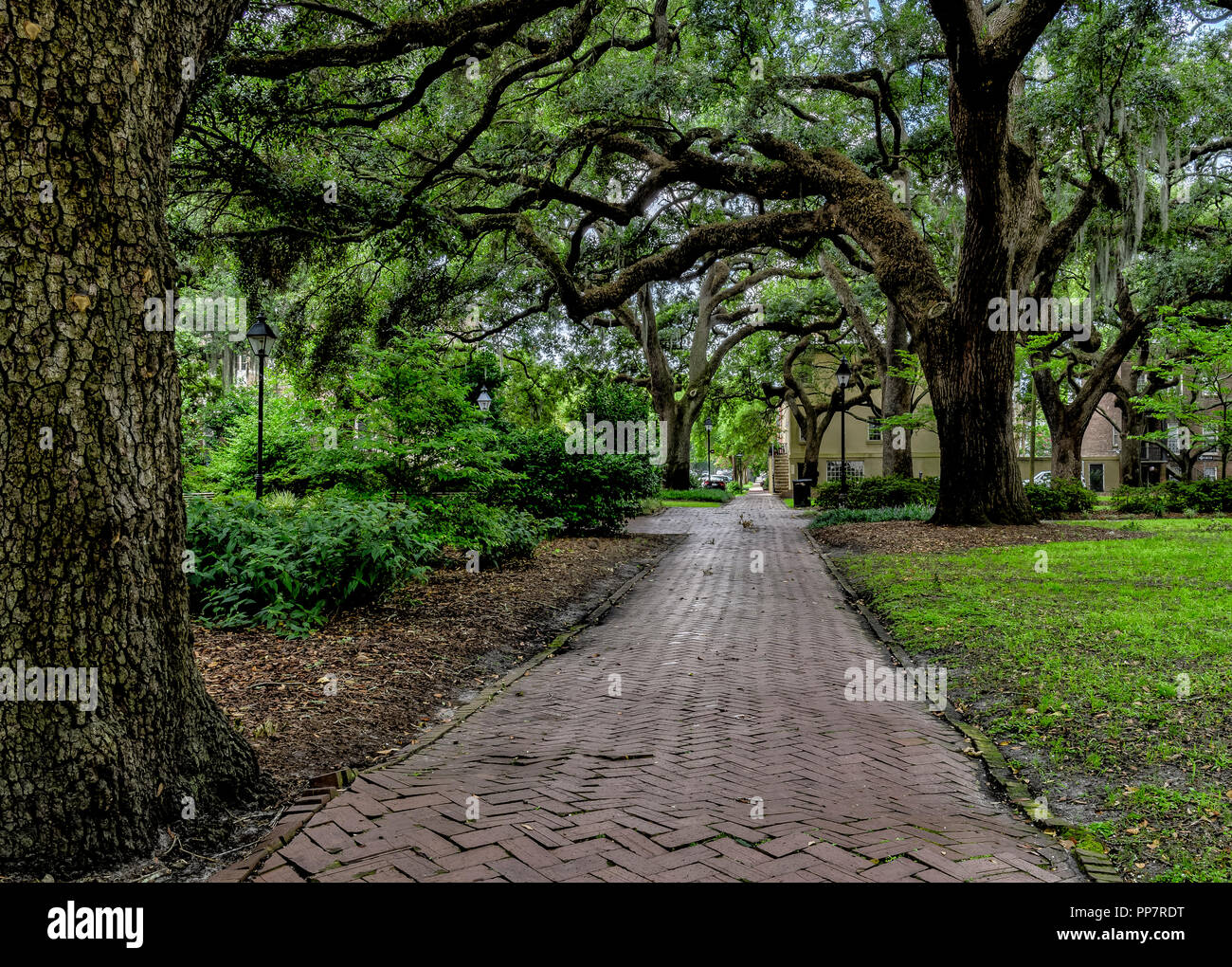 Historic Chatham Square in Savannah Stock Photo Alamy