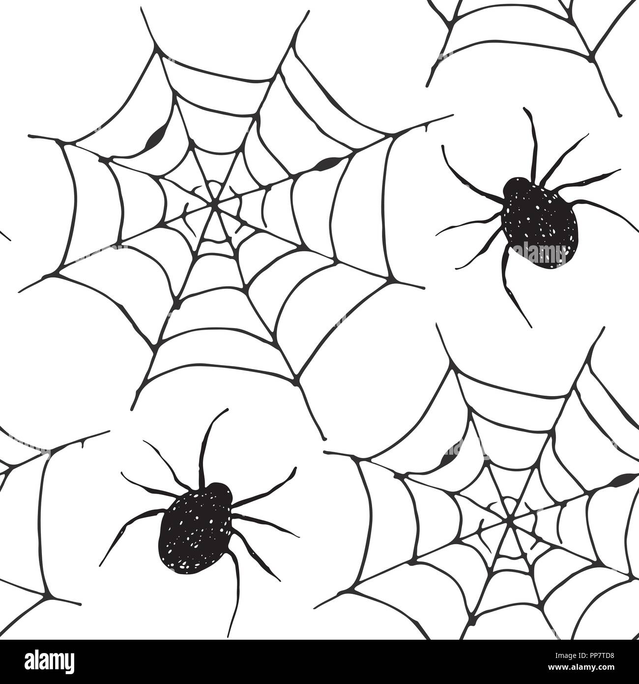 Spider web seamless pattern vector illustration. Hand drawn sketched ...