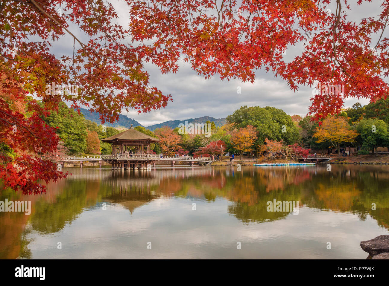 Tourists visit Nara public park in autumn, with maple leaves, pond and old pavilion Stock Photo