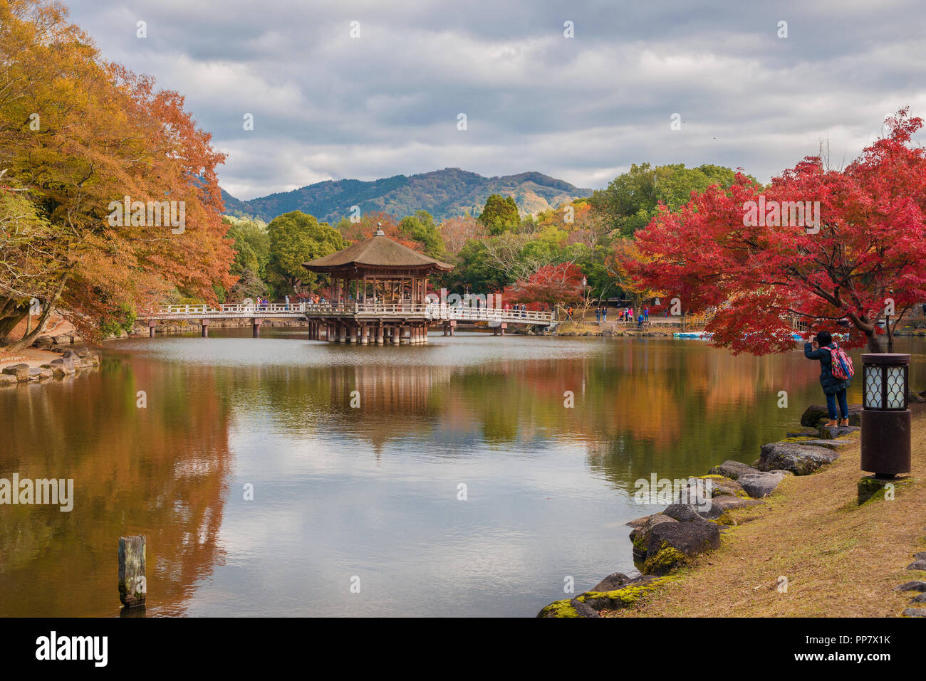 Tourists visit Nara public park in autumn, with maple leaves, pond and old pavilion Stock Photo