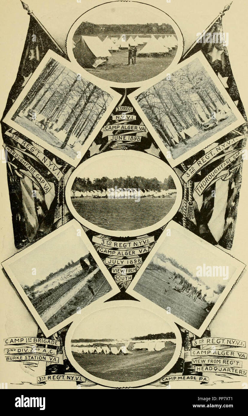 species,wild,wild animal,wild bird,wildlife,Harris Hawk,bird of prey,raptor,brown,brown feathers,brown bird,large bird,outside,outdoors,portrait of a bird,close up of a bird, Stock Photo