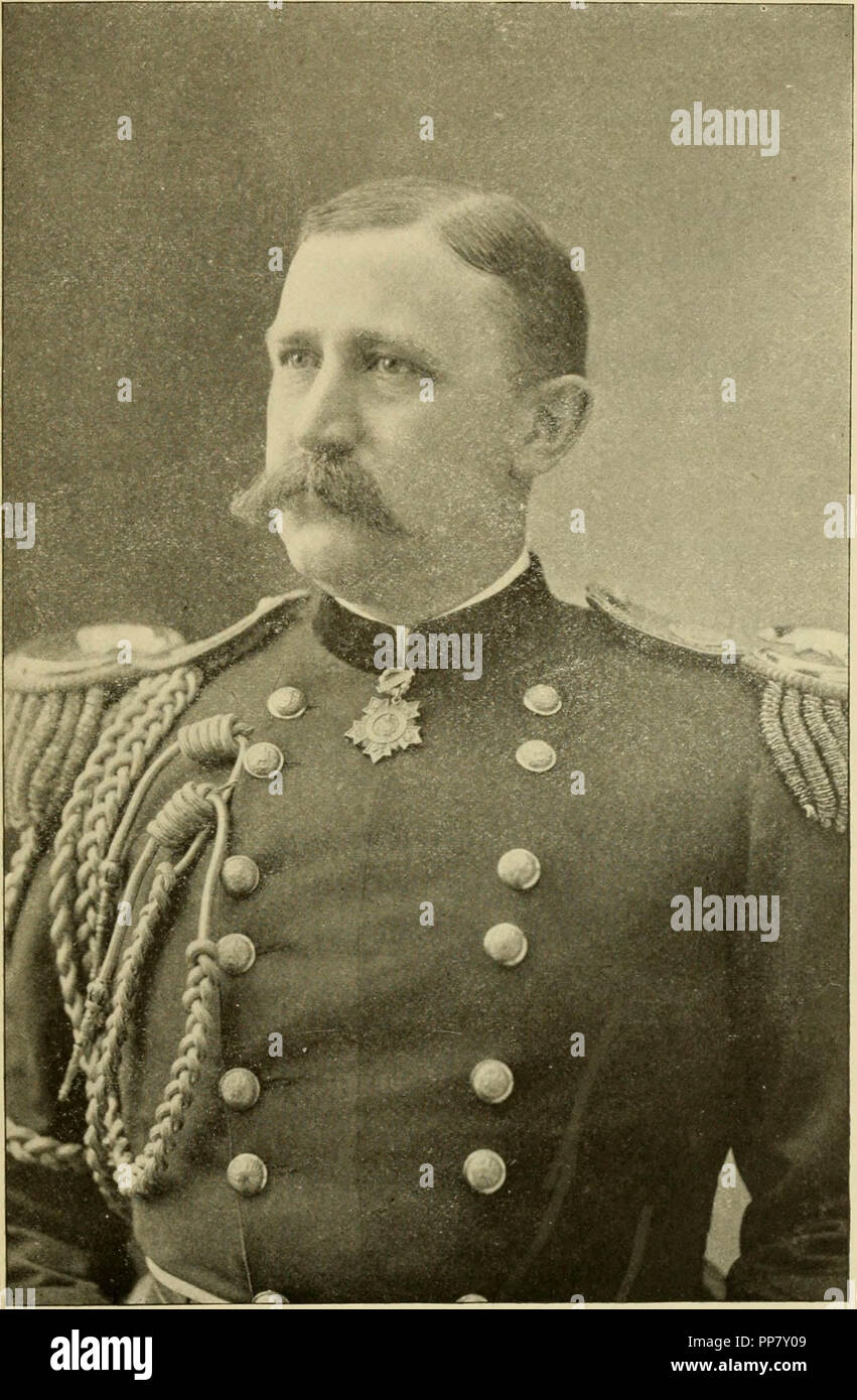 species,wild,wild animal,wild bird,wildlife,Harris Hawk,bird of prey,raptor,brown,brown feathers,brown bird,large bird,outside,outdoors,portrait of a bird,close up of a bird, Stock Photo