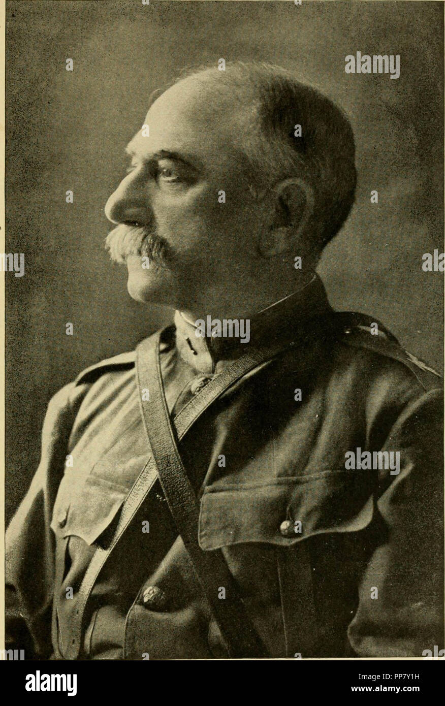 species,wild,wild animal,wild bird,wildlife,Harris Hawk,bird of prey,raptor,brown,brown feathers,brown bird,large bird,outside,outdoors,portrait of a bird,close up of a bird, Stock Photo