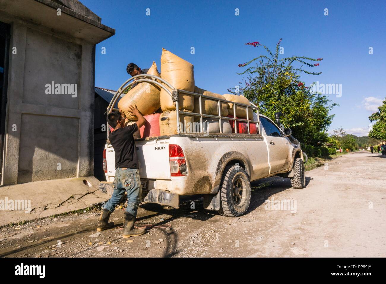 camioneta cargada con sacos de cardamomo, Lancetillo, La Parroquia, zona Reyna, Quiche, Guatemala, Central America. Stock Photo