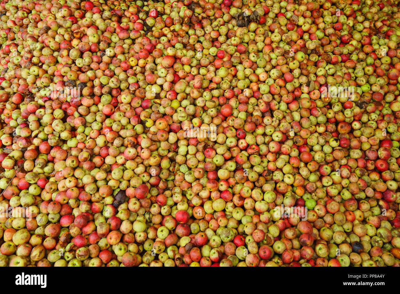 Somerset cider hires stock photography and images Alamy