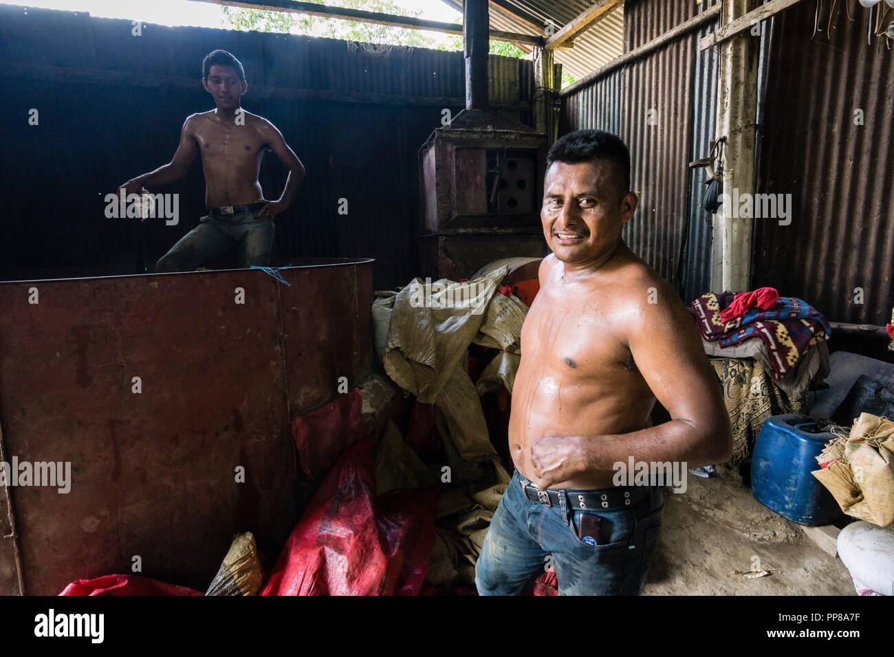 Ingredient pox hi-res stock photography and images - Alamy