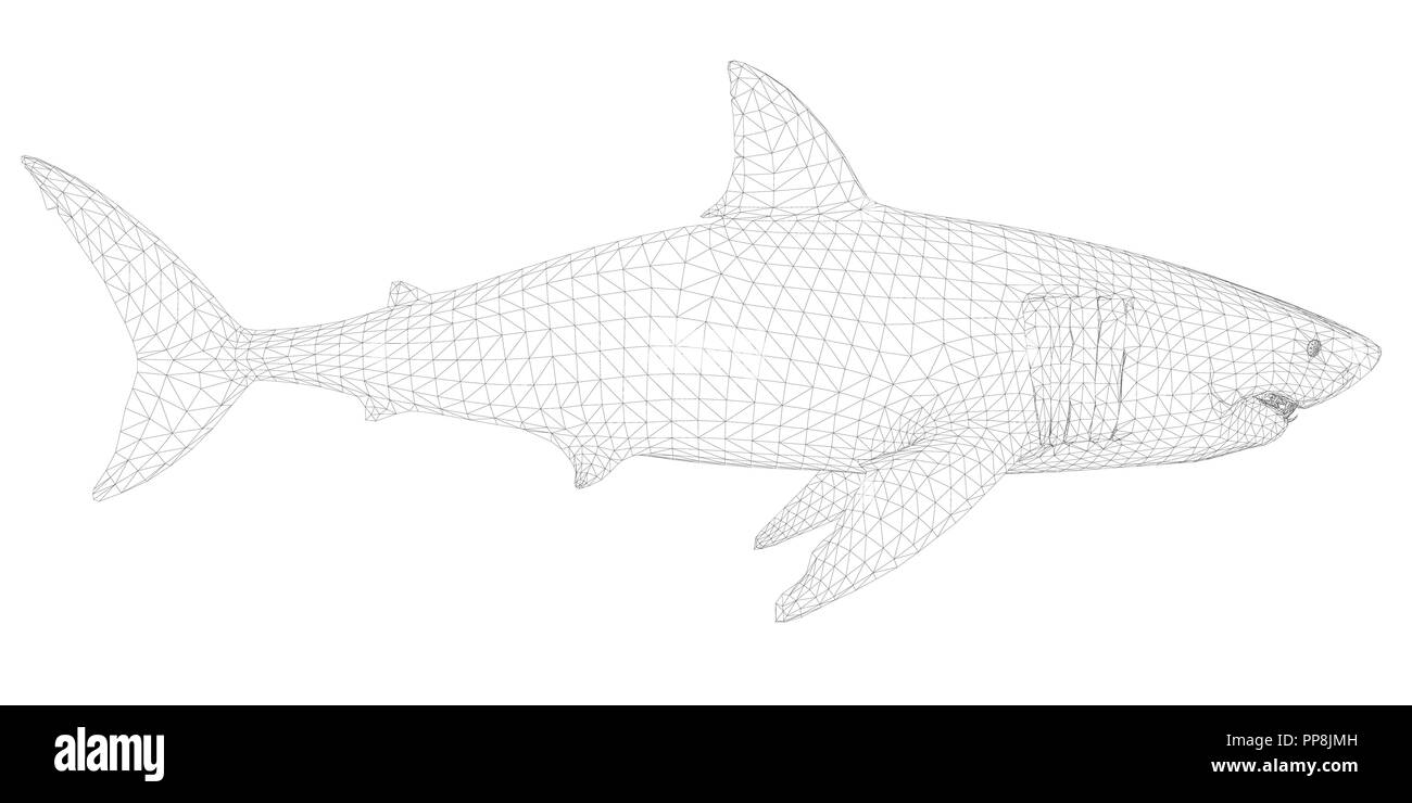 Polygonal 3d Shark Dangerous Shark Isolated On White Background The Shark Is Covered With A Polygonal Mesh Side View Vector Illustration Stock Vector Image Art Alamy