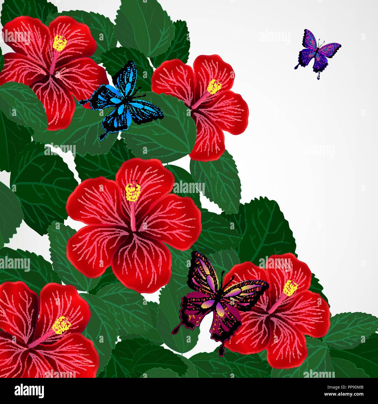 Floral design background. Hibiscus flowers with butterflies Stock