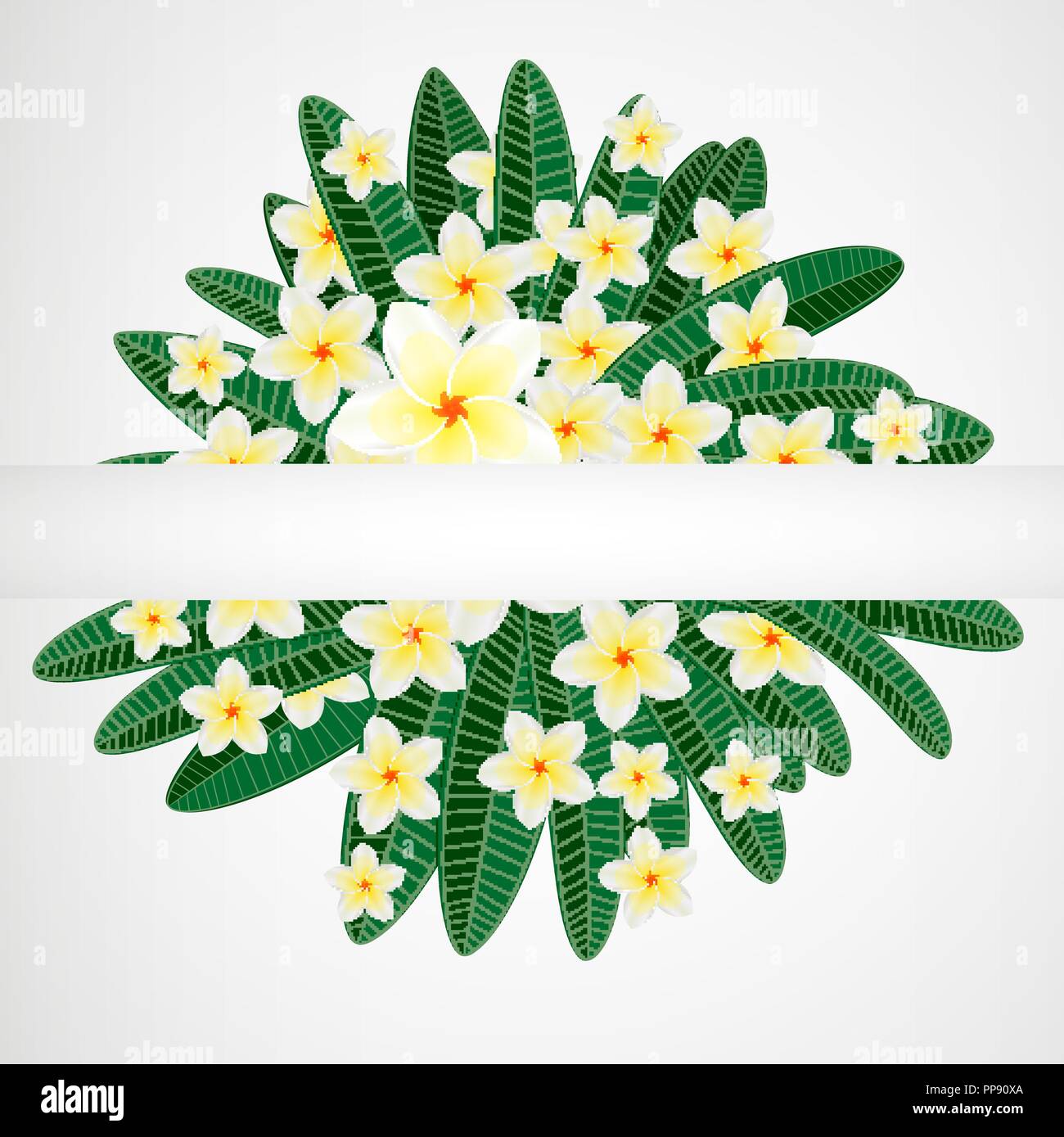 Eps10 Floral design background. Plumeria flowers Stock Vector Image