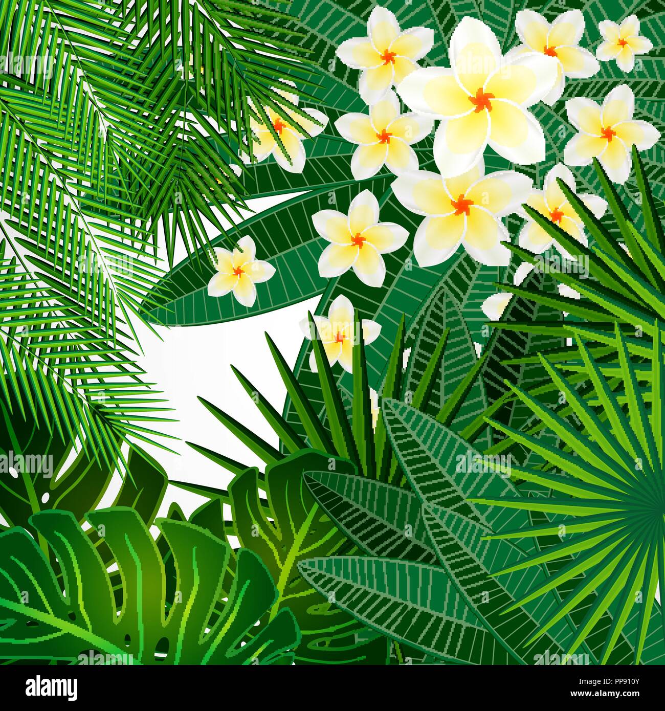 Eps10 Floral design background. Plumeria flowers and tropical leaves. Stock Vector