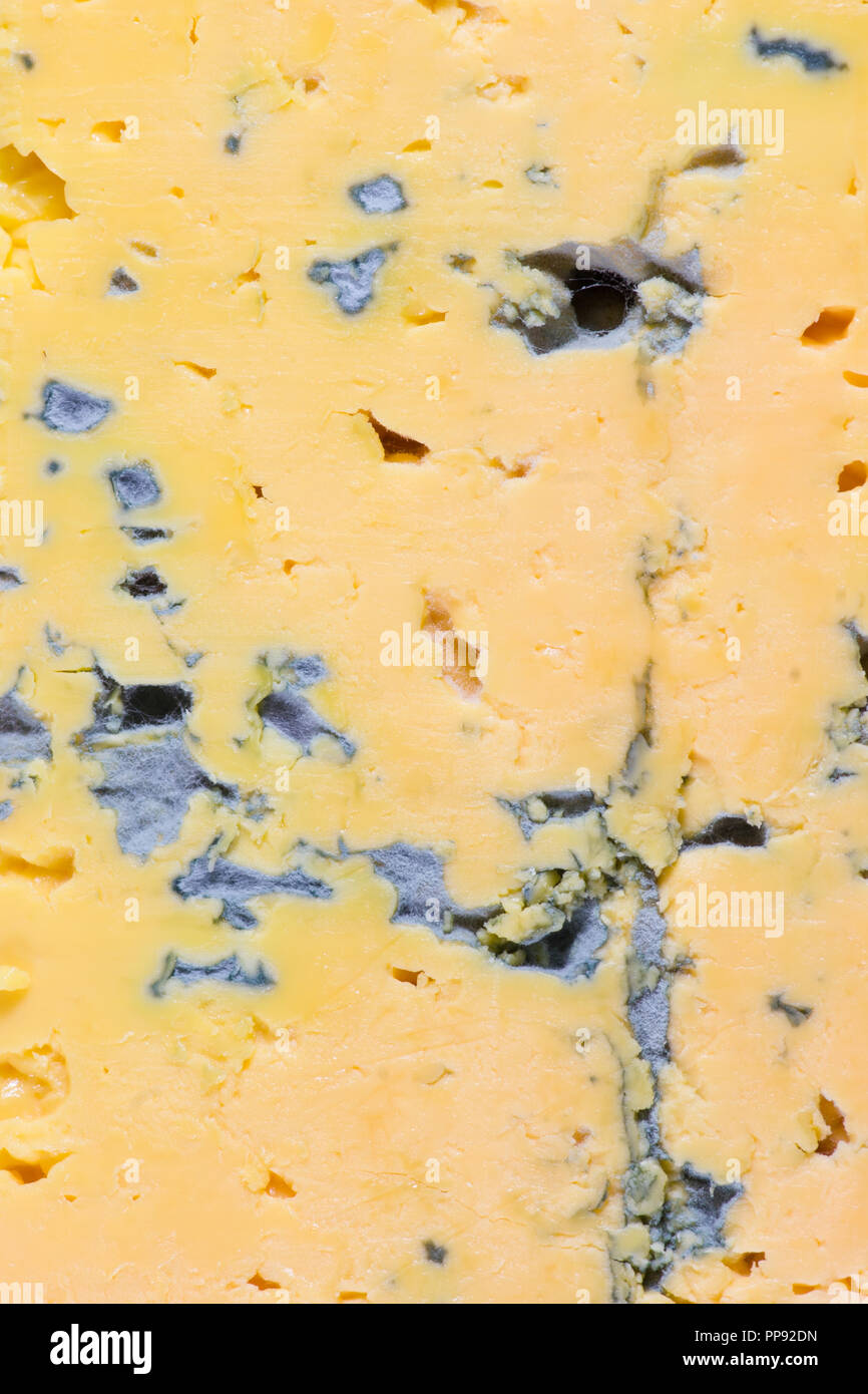 Yellow cheese with blue mold slice macro Stock Photo
