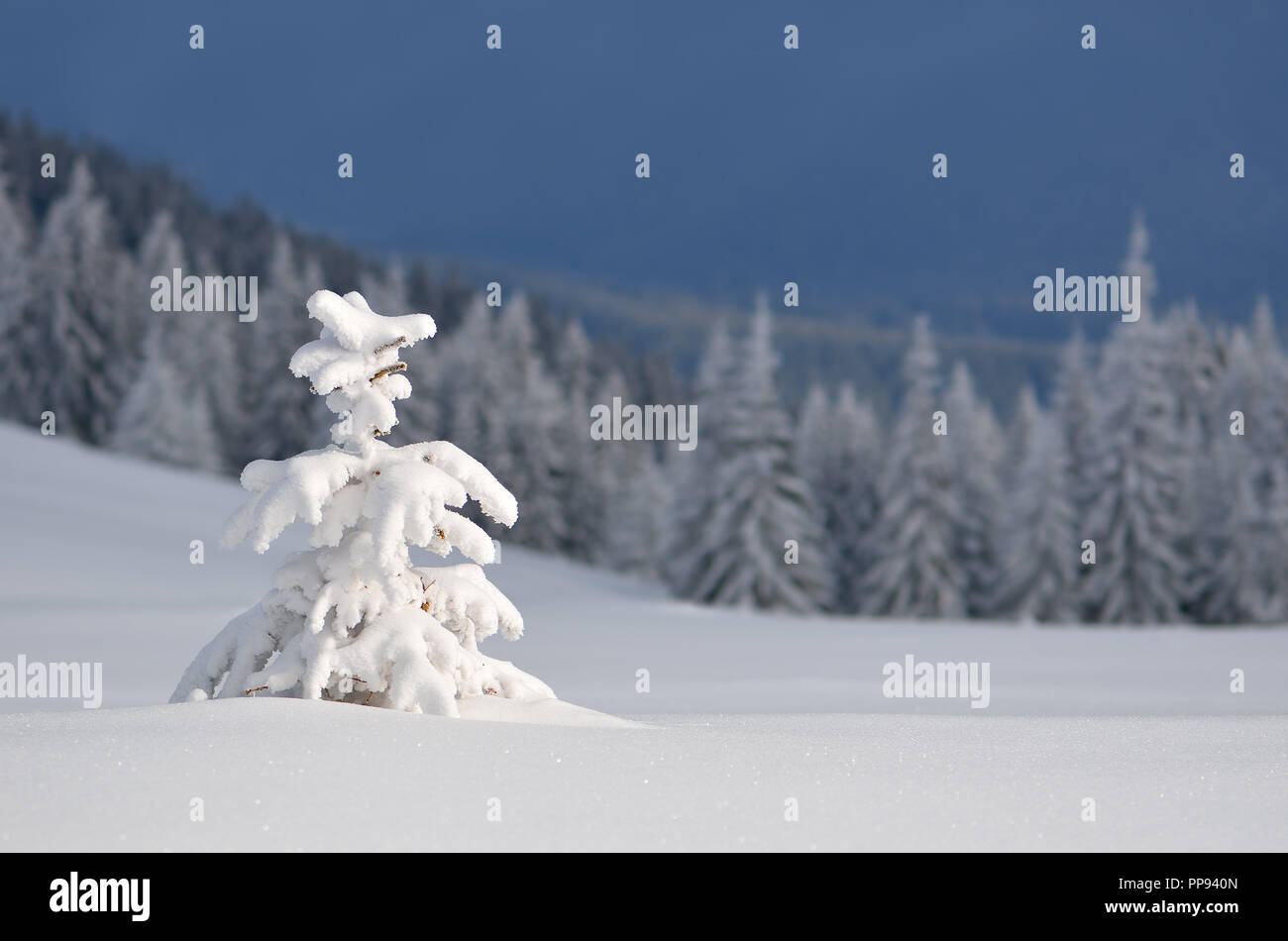 Snowfall christmas snow hi-res stock photography and images - Alamy