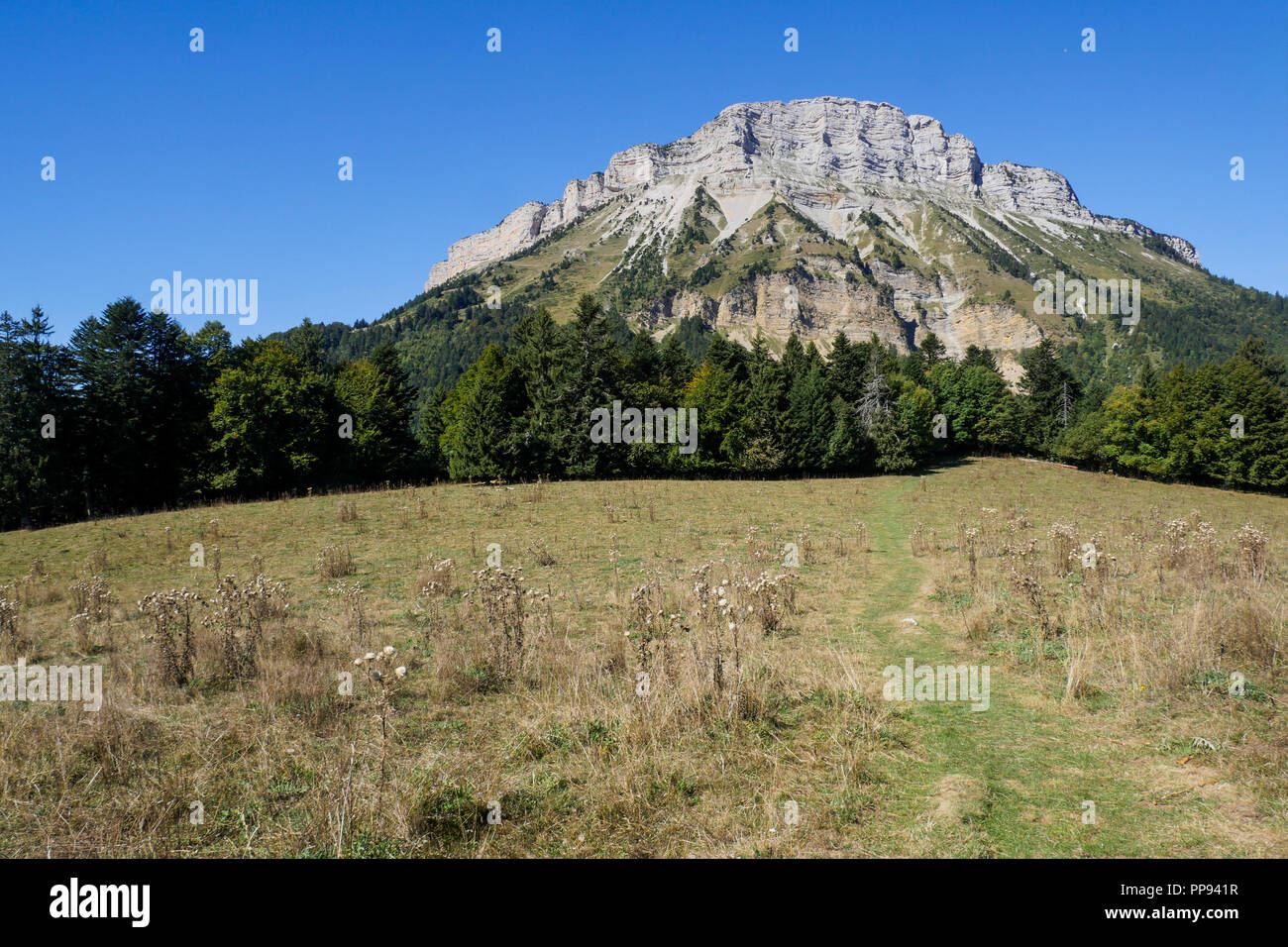 Chamechaude mountain (2082m) seen from Emeindras pass, Chartreuse mountain, Isere, France Stock Photo