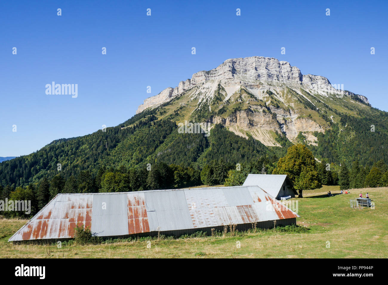 Chamechaude mountain (2082m) seen from Emeindras pass, Chartreuse mountain, Isere, France Stock Photo